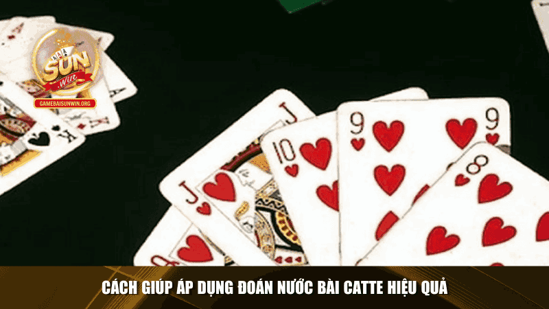 Cách giúp áp dụng đoán nước bài catte hiệu quả