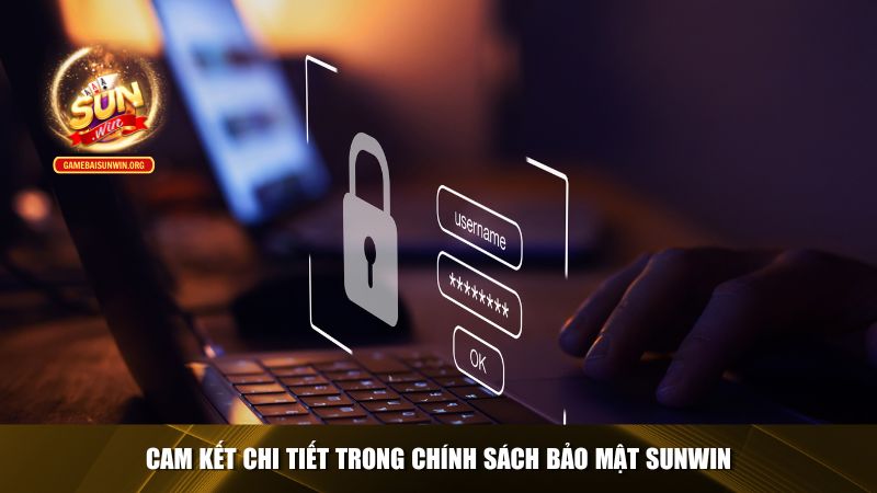 Cam kết chi tiết trong chính sách bảo mật Sunwin