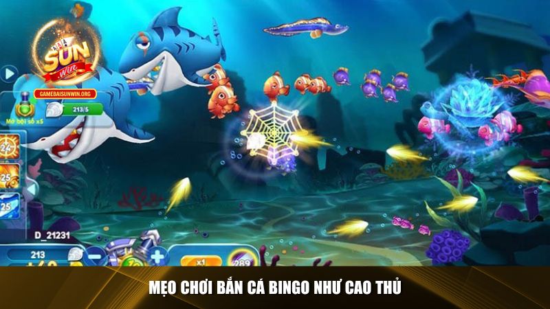 Mẹo chơi bắn cá Bingo như cao thủ