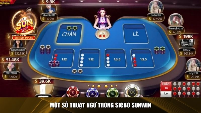 Một số thuật ngữ